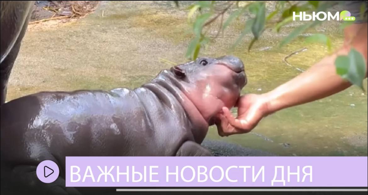 Главные новости недели 😄